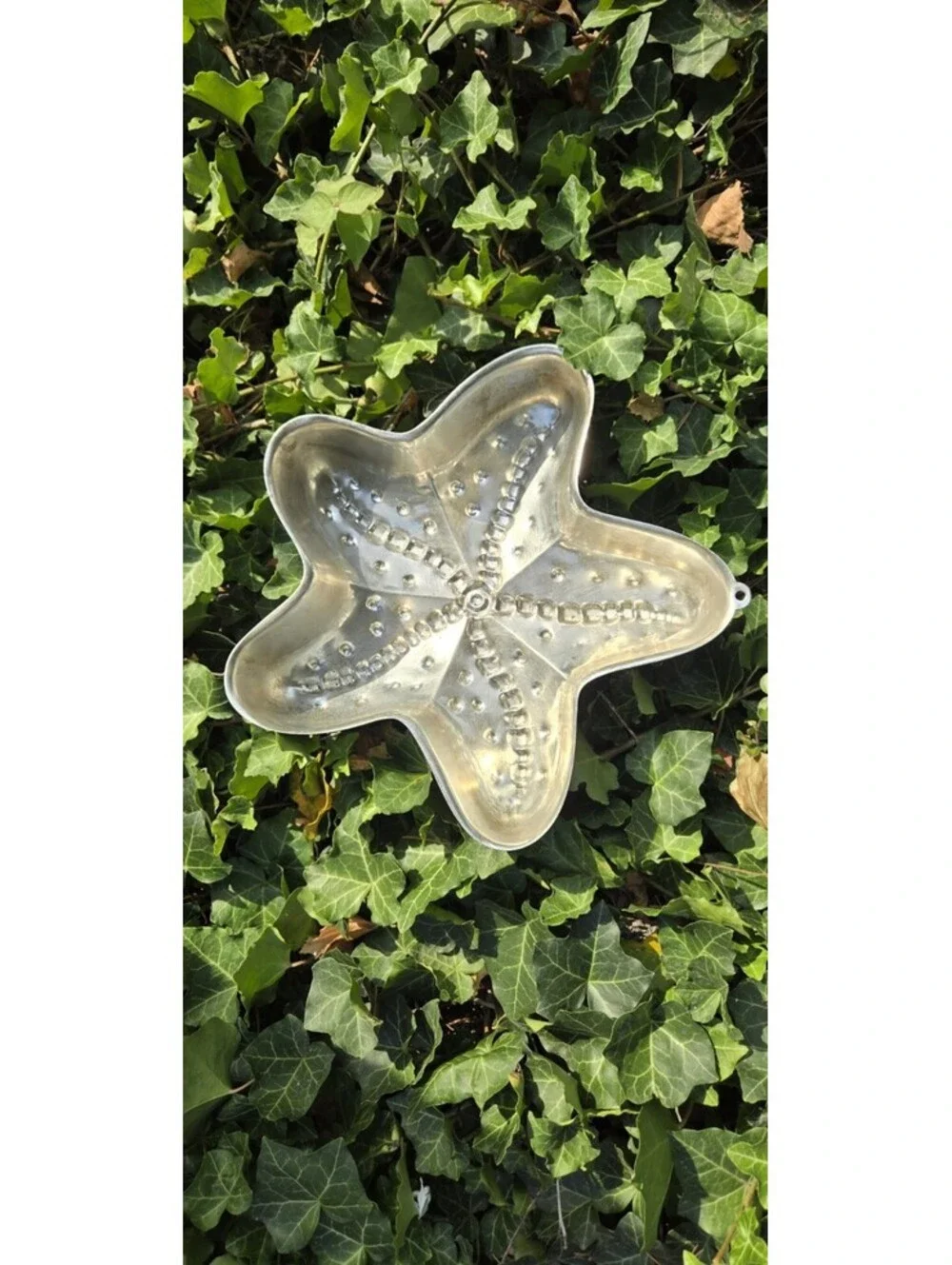 Starfish Aluminum Tin Metal Chocolate Candy Jello Mold Hanging Hook10